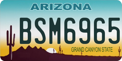 AZ license plate BSM6965
