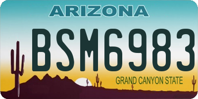 AZ license plate BSM6983