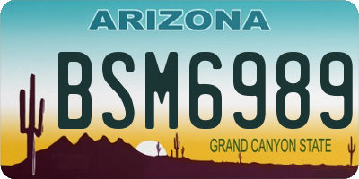 AZ license plate BSM6989