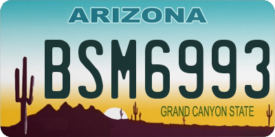 AZ license plate BSM6993