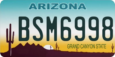 AZ license plate BSM6998