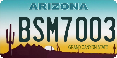 AZ license plate BSM7003