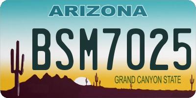 AZ license plate BSM7025