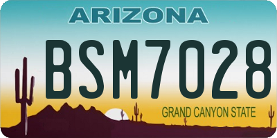 AZ license plate BSM7028
