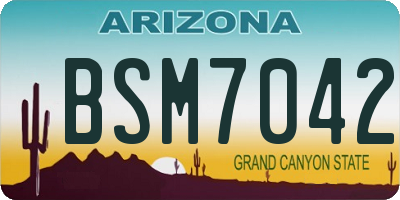 AZ license plate BSM7042