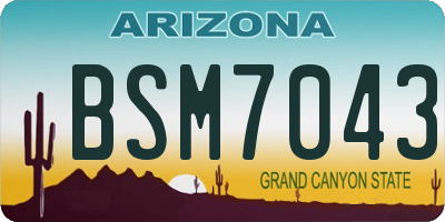 AZ license plate BSM7043