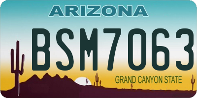 AZ license plate BSM7063