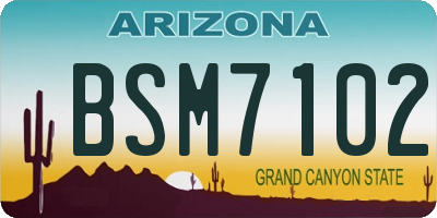 AZ license plate BSM7102