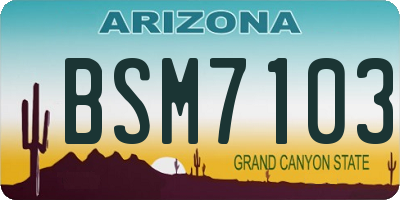 AZ license plate BSM7103