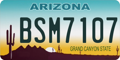 AZ license plate BSM7107