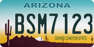 AZ license plate BSM7123