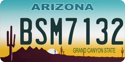 AZ license plate BSM7132