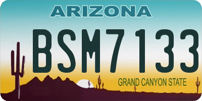 AZ license plate BSM7133