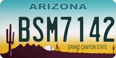 AZ license plate BSM7142