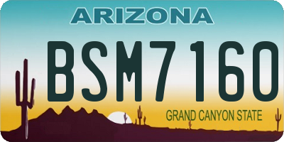 AZ license plate BSM7160