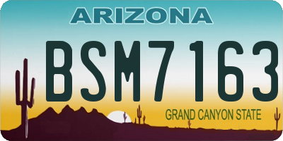 AZ license plate BSM7163