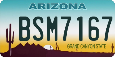 AZ license plate BSM7167