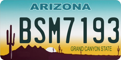 AZ license plate BSM7193