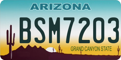 AZ license plate BSM7203