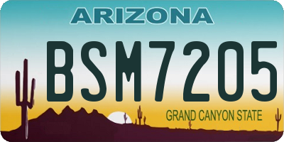 AZ license plate BSM7205