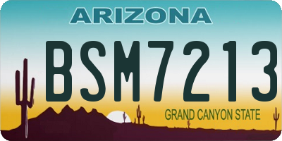 AZ license plate BSM7213