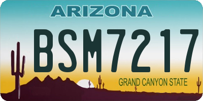 AZ license plate BSM7217