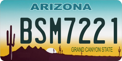 AZ license plate BSM7221