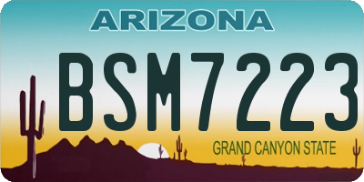 AZ license plate BSM7223