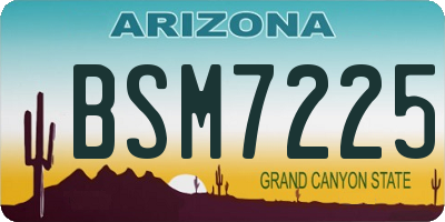 AZ license plate BSM7225