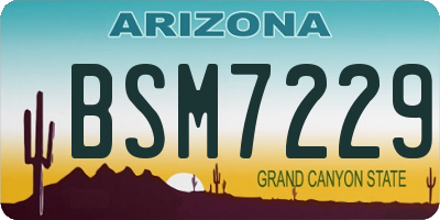 AZ license plate BSM7229