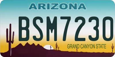 AZ license plate BSM7230