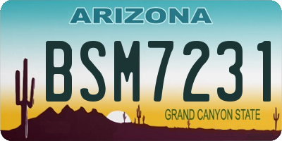 AZ license plate BSM7231