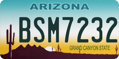 AZ license plate BSM7232