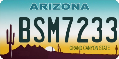 AZ license plate BSM7233