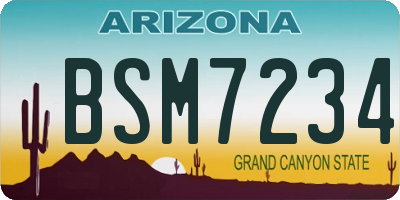 AZ license plate BSM7234