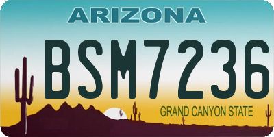 AZ license plate BSM7236