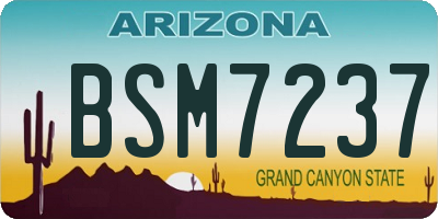 AZ license plate BSM7237