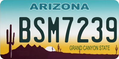 AZ license plate BSM7239