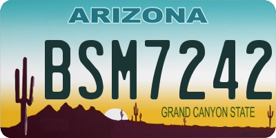 AZ license plate BSM7242