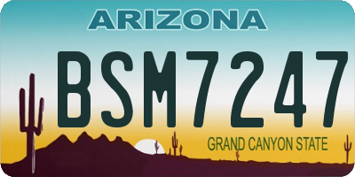 AZ license plate BSM7247