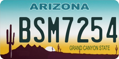 AZ license plate BSM7254