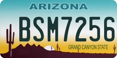 AZ license plate BSM7256