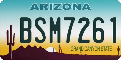 AZ license plate BSM7261