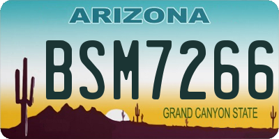 AZ license plate BSM7266