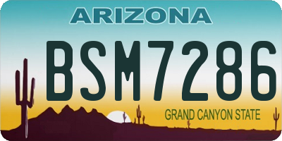 AZ license plate BSM7286