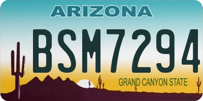 AZ license plate BSM7294