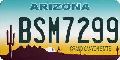 AZ license plate BSM7299