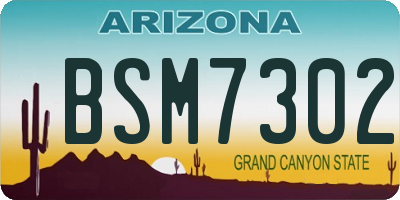 AZ license plate BSM7302