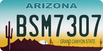 AZ license plate BSM7307