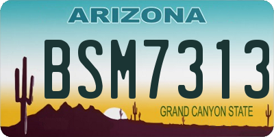 AZ license plate BSM7313